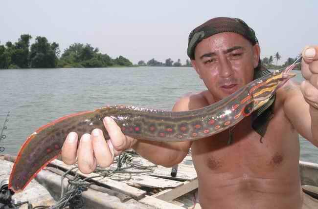 Jean Francois Helias, pemancing terkemuka di dunia..&#91;gallery ikan predator&#93;