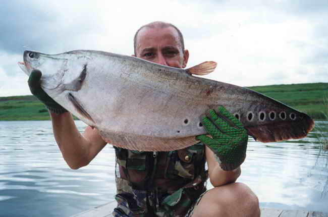 Jean Francois Helias, pemancing terkemuka di dunia..&#91;gallery ikan predator&#93;