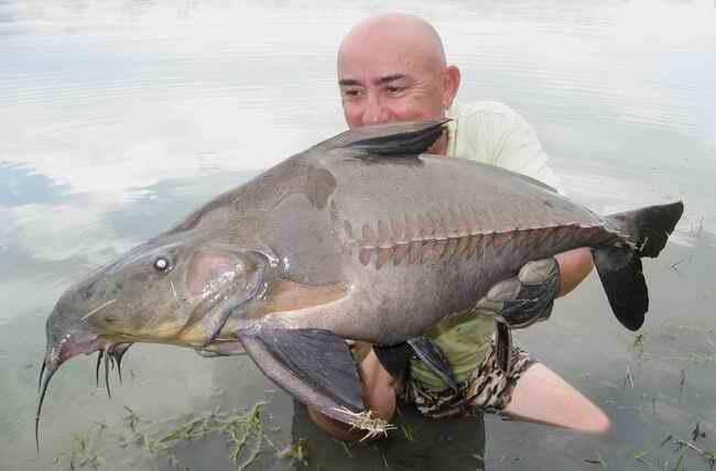 Jean Francois Helias, pemancing terkemuka di dunia..&#91;gallery ikan predator&#93;