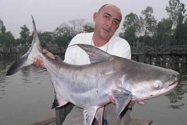 Jean Francois Helias, pemancing terkemuka di dunia..&#91;gallery ikan predator&#93;