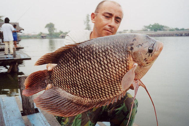 Jean Francois Helias, pemancing terkemuka di dunia..&#91;gallery ikan predator&#93;