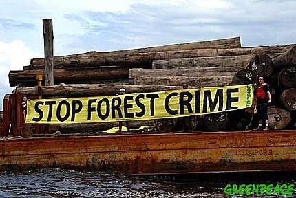 forest before after , recycle?
