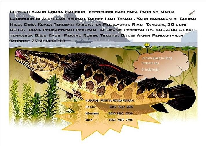 Lomba Mancing "Wild Fishy SnakeHead Competition 2013"