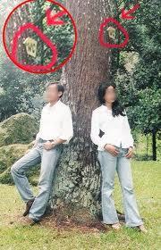 FOTO PRE WEDDING FAIL !