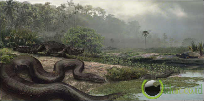 10 Predator Jaman Prasejarah yang paling Menakutkan 