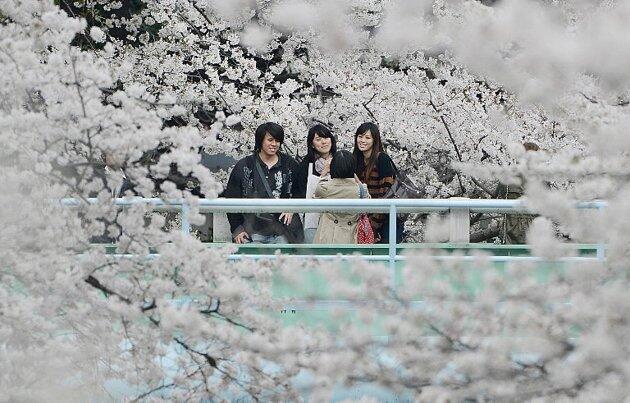 Tujuh Alasan Berwisata Ke Jepang