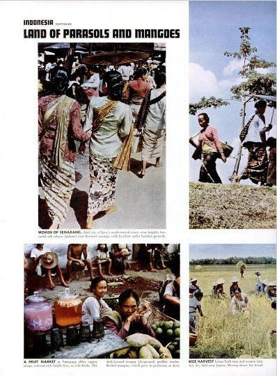 The New Nation Of Indonesia, LIFE Magazine 1950 by 