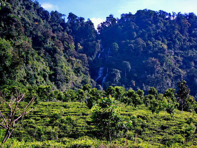 PAMER KAMPUNG HALAMAN (ORANG GARUT MASUK) :D