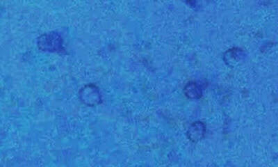 7 peninggalan misterius di bawah laut