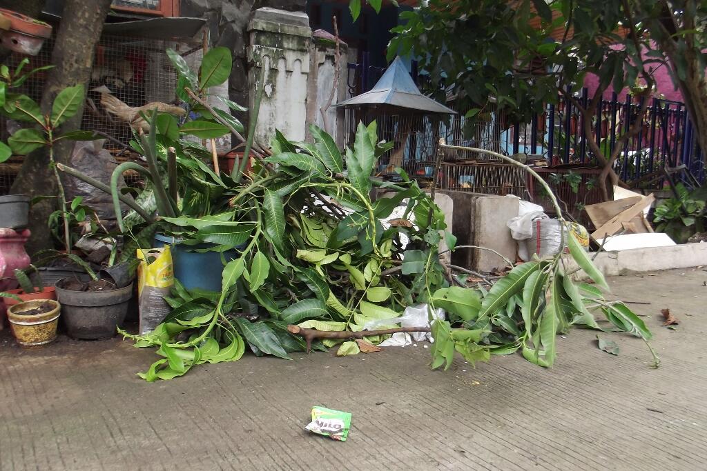 Jangan Ikut KERJA BAKTI