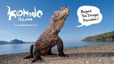 Masuk New 7 Wonders, Turis ke Pulau Komodo Naik 100%