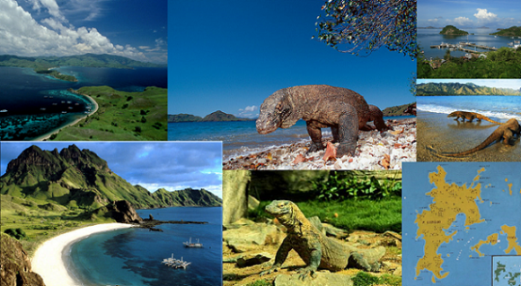 Masuk New 7 Wonders, Turis ke Pulau Komodo Naik 100%