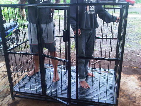 Terjual Kandang Anjing Knockdown Kaskus