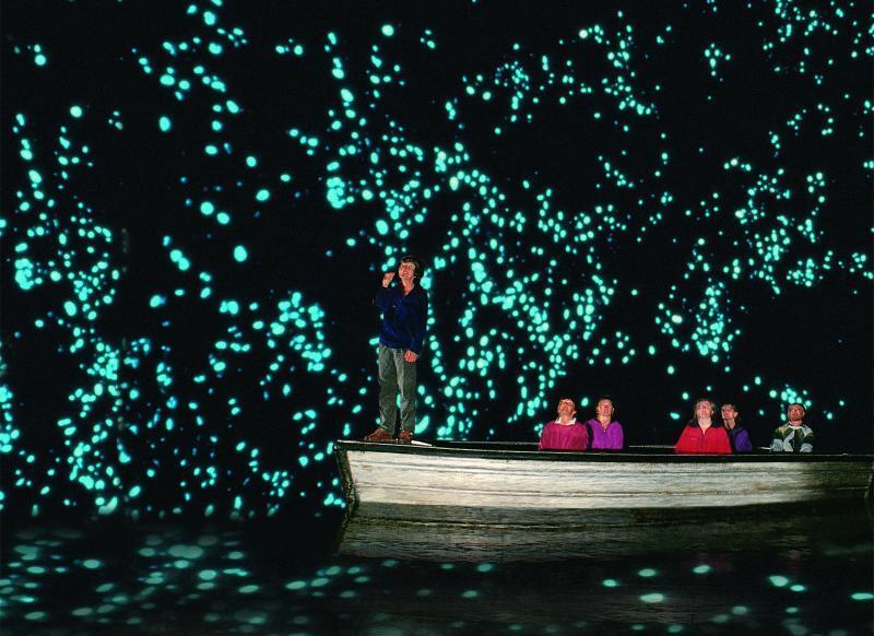 Waitomo Glowworm, Gua Ajaib yang Dipenuhi &quot;Kilauan Bintang&quot;