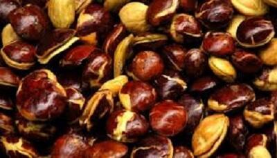 Waduh ..! Harga Jengkol Tembus Rp 32.000 Sekilo