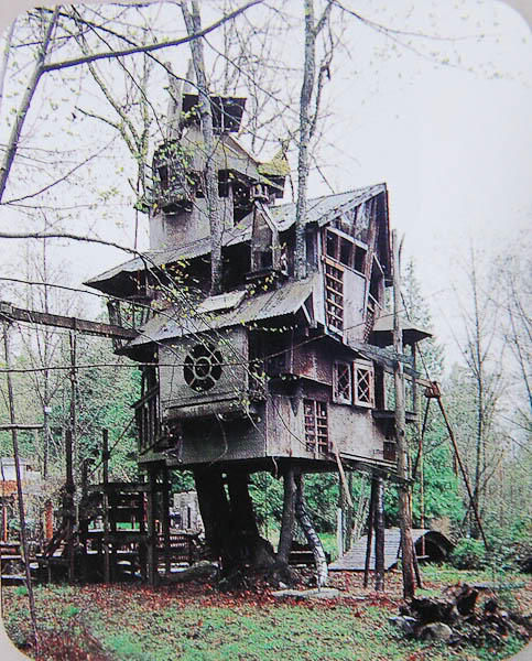 Rumah Pohon Aneh