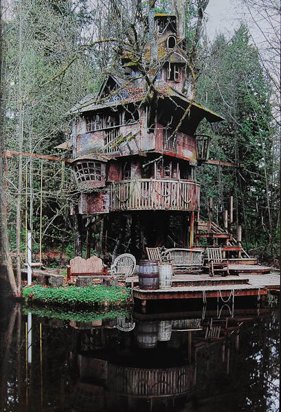 Rumah Pohon Aneh