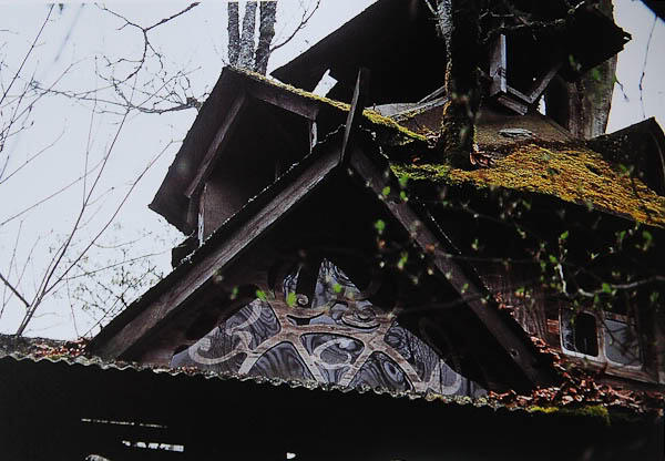 Rumah Pohon Aneh