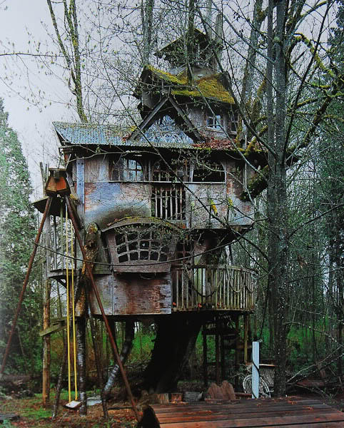Rumah Pohon Aneh