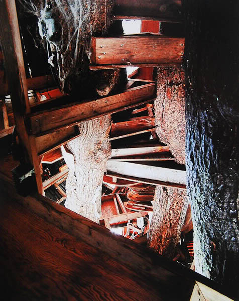 Rumah Pohon Aneh