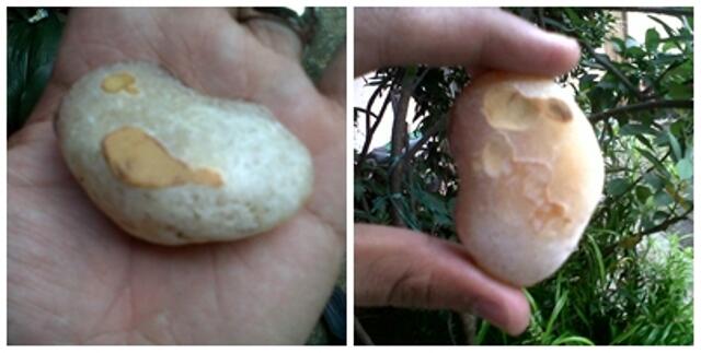 LELANG 16 Batu Ruby Pigeon , Blue Sapphire , Rough , Gelang, Kecubung DLL> OB MURAH<