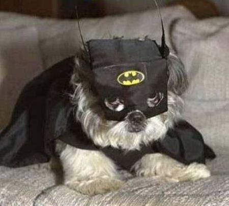 Kostum-kostum Batman Keren !!!