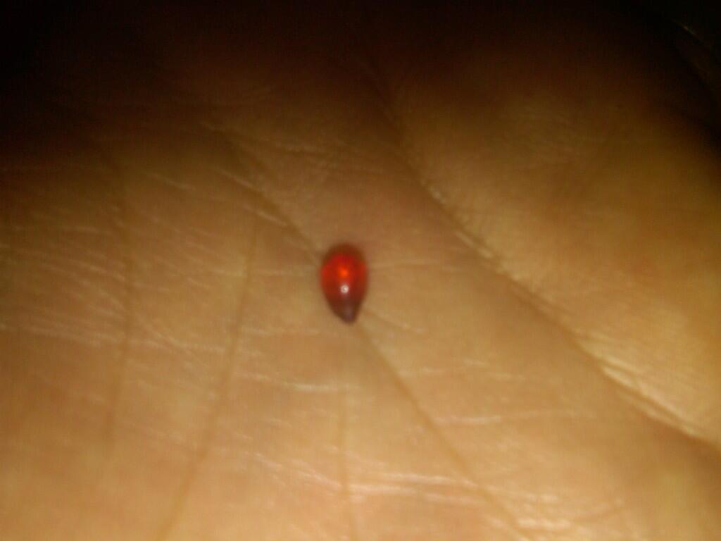 batu merah delima