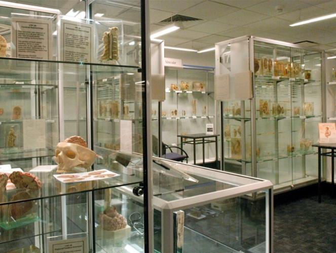 10 Mesuem Ter-Aneh di Dunia