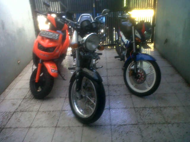 wts:thunder 250,sanex family,suzuki rk cool