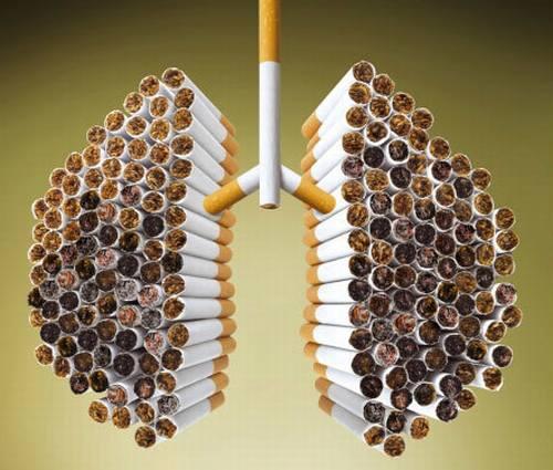 Tips Menghilangkan Racun Nikotin di Paru-Paru 
