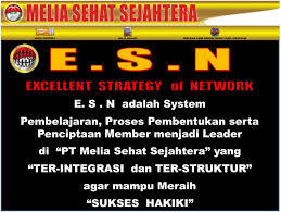 Perusahaan Multi Level Marketing dari PT. Melia Sehat Sejahtera