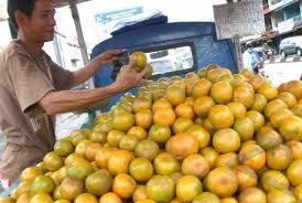 YUK,, Gemari Buah Lokal