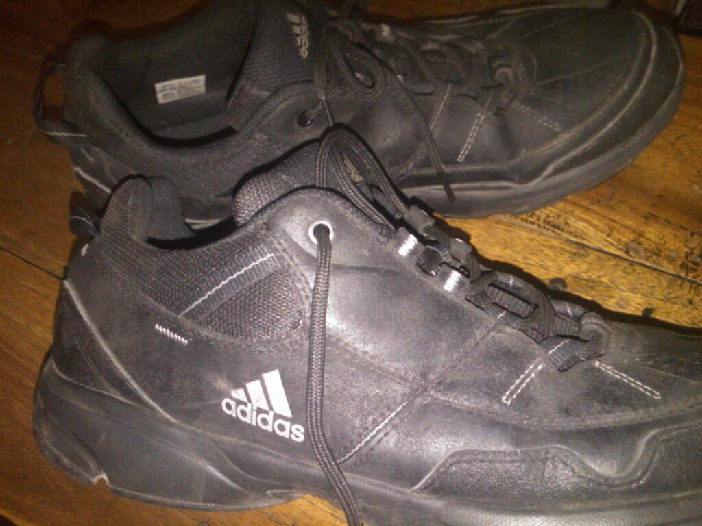 SEPATU ADIDAS ASLI
