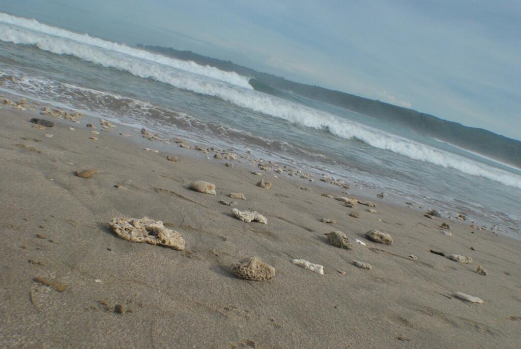 &#91;Sharing&#93; Road To Sawarna
