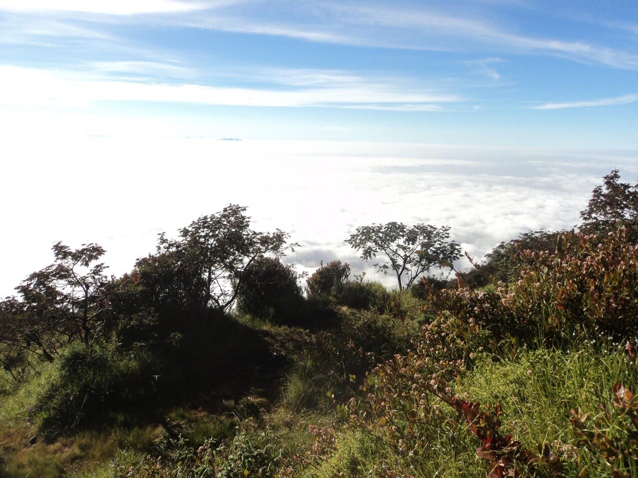 &#91;CATPER&#93; NEGERI DI ATAS AWAN 10 - 11 MEI 2013 (LAWU 3265 MDPL)