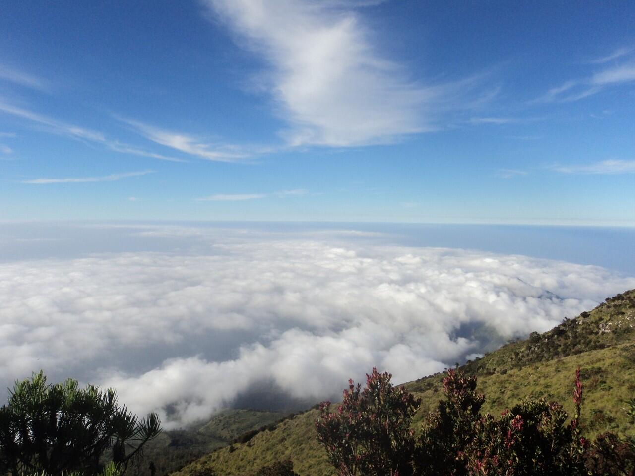 &#91;CATPER&#93; NEGERI DI ATAS AWAN 10 - 11 MEI 2013 (LAWU 3265 MDPL)