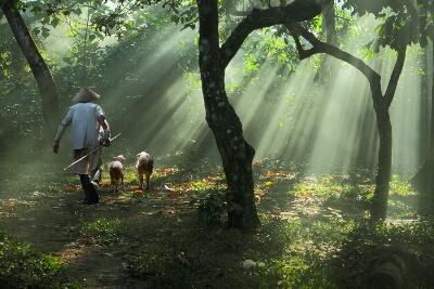 MELIHAT PHOTO INI ANE JADI INGET CERITA MASA KECIL ANE GAN
