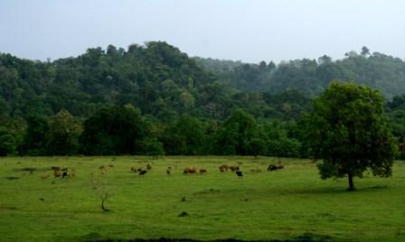 Beberapa Tempat wisata di Banyuwangi ( Agan agan wajib masuk)