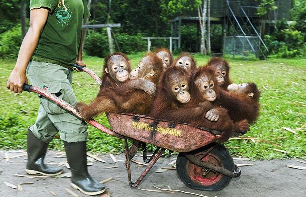 &#91;Keren&#93; Indonesia ternyata dominan di TV asing gan!