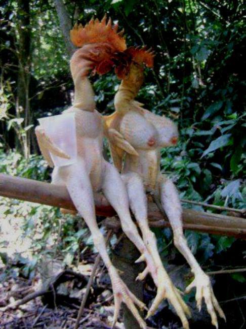 Pacaran Ga Pake Busana (BB 17++)