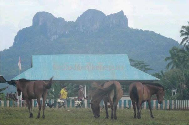 Indahnya Kampung Halaman 