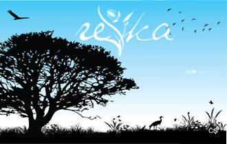 introducing . . "reYka"- indie Rock Band dari Kota Hujan