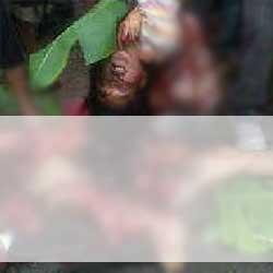 Ini Dia Wajah Pelaku Pembom Bunuh Diri di Mapolres Poso