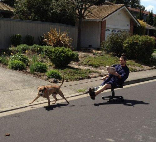 17 Acts Of Epic Laziness :Ngakak