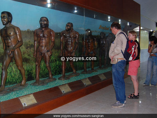 MUSEUM MANUSIA PURBA SANGIRAN - Perjalanan Menembus Waktu ke Jaman Manusia Purba