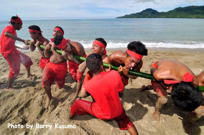 Atraksi Bambu Gila di Maluku.