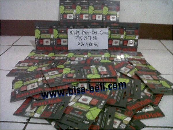www.bisa-beli.com | Memory Card Micro SD Class 10 Sandisk Astrindo