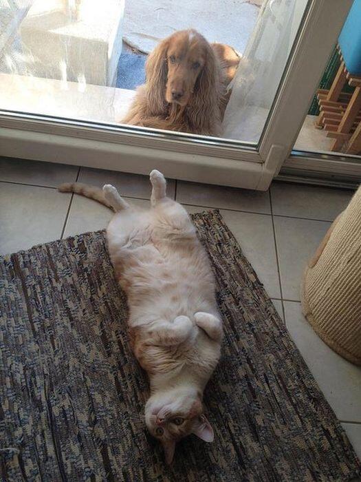 Senyum Dulu Yuk, Lumayan Ibadah.