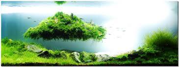 indahnya aquascape