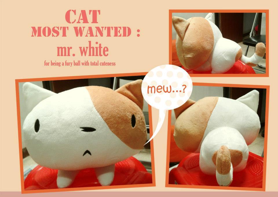 Boneka Animasi Totoro, Despicable Me – Papoy, Kuruneko, Mr Brown-Mr White